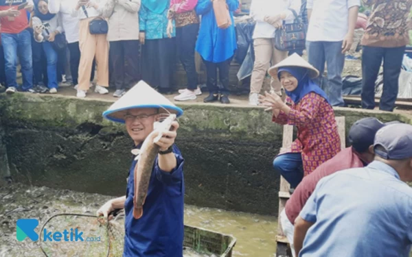 Foto Walikota Pagaralam, Alpian Maskoni ikut turun ke dalam kolam dalam giat panen raya ikan lele di Kelompok Pengolahan dan Pemasaran Ikan ‘Muda Karya’ Muara Tenang. (Foto; AL/Ketik.co.id)