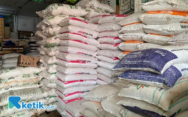 Foto Ketersediaan pupuk di salah satu kios penyalur di Pasar Inpres Simpang 4 ,Jum’at (19/4/2024). (Foto : Basriadi/Ketik.co.id)