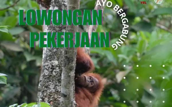 Gambar Yayasan Ekosistem Lestari Mencari Manager Pusat Reintroduksi Orang Utan, Penempatan Aceh!